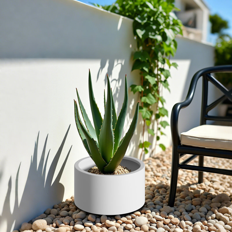 Ensemble de jardin pour jardin surélevé en acier Corten, H 15,5 po x l 12 po x P 15,5 po, Blanc