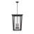 Staton 4 - Light Outdoor Hanging Lantern