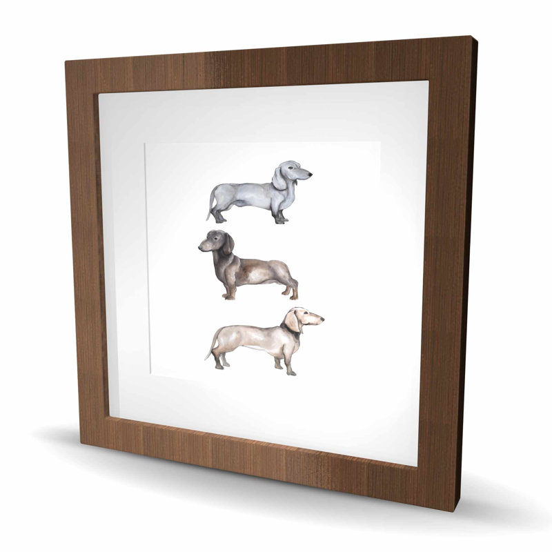 Impression de teckels | Décoration scandinave encadrée avec passe-partout, Brun, H 16 po x l 16 po