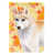 Husky de Sibérie blond sélectionné
