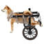 Fauteuil roulant pour chien