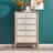 Light Luxury Shell Accent Chest