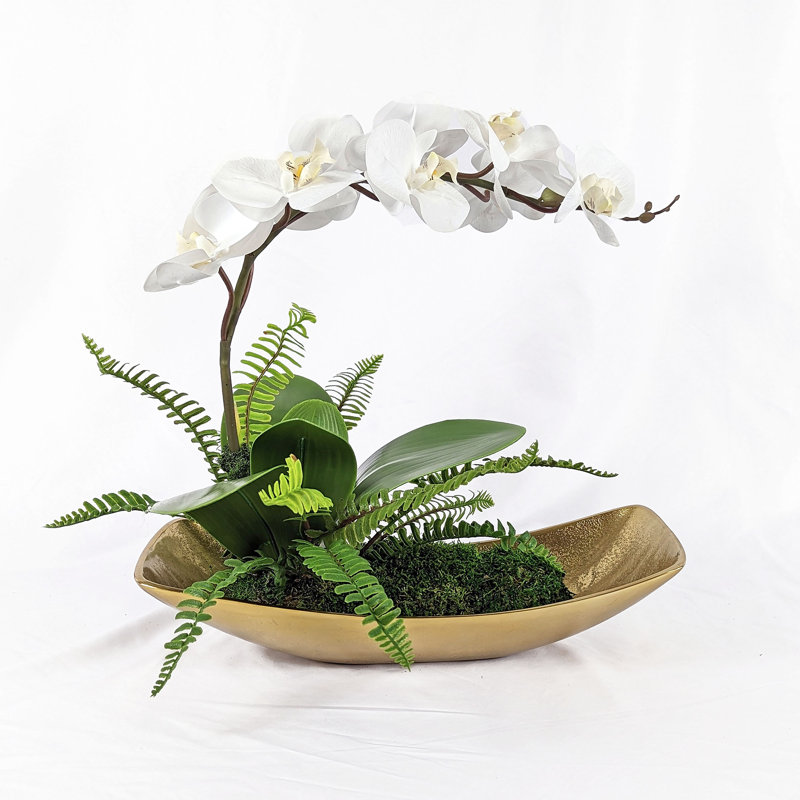 Brenau 16'' Orchid Plant in Metal Pot