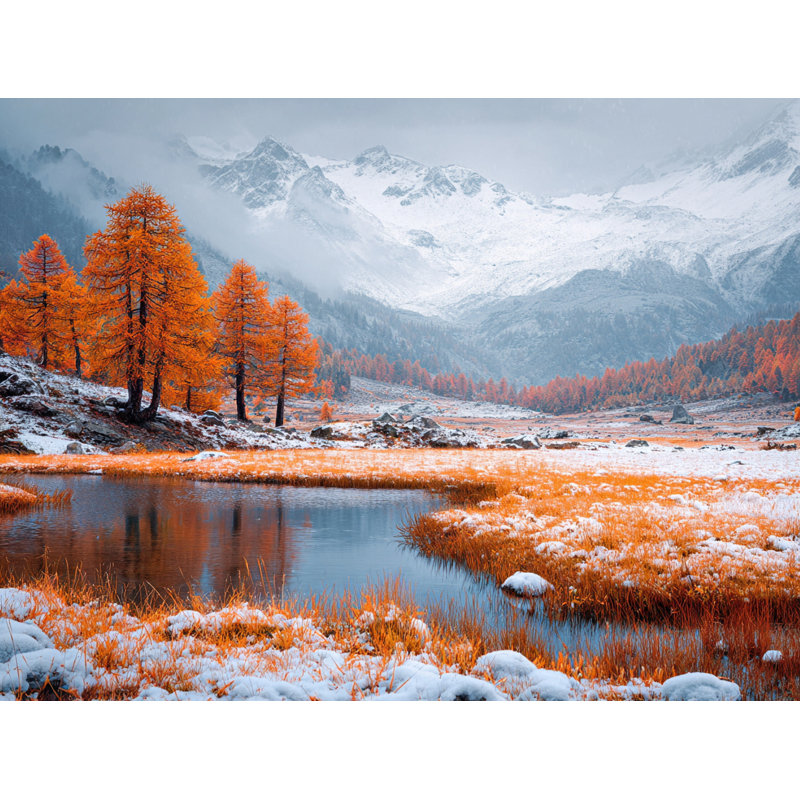 «Snowfield Ember Trees», art mural sur toile tendue