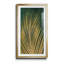 Golden Palm I - cadre photo, impression sur papier-1134566217-1134566222