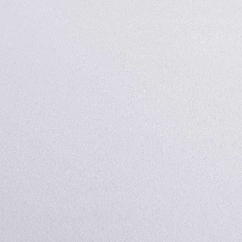 Queen White Waterproof Polyester Mattress Protector with Zipper