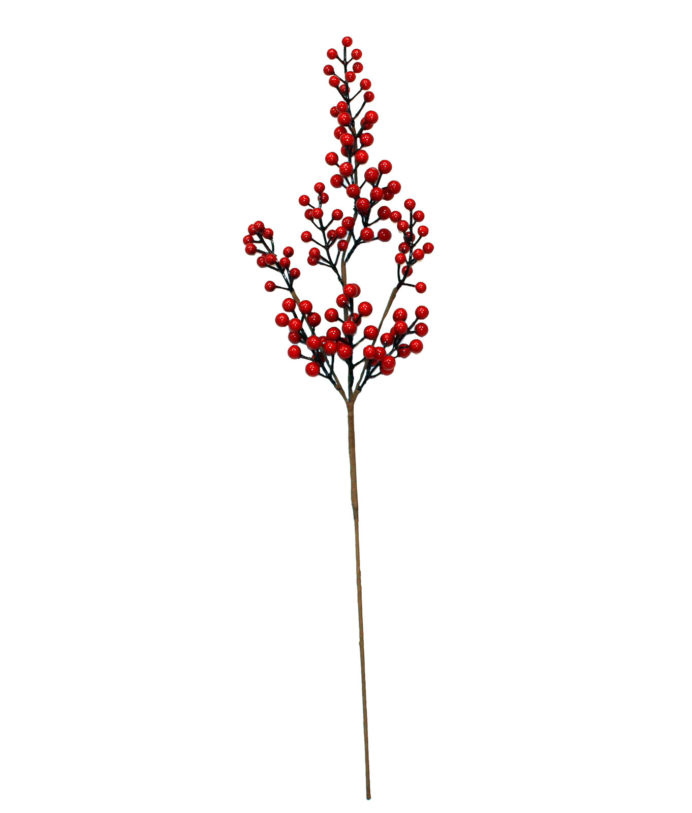 Color Berry Stems, Red