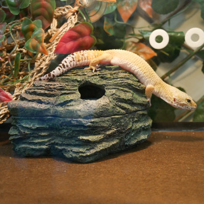 Reptile Herp Haven 