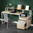 Computer Desk with Drawers