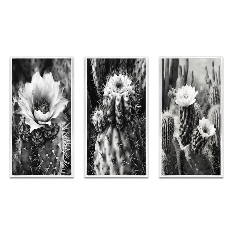 «Gray Desert Cactus», 3 pièces sur toile, Cadre flottant blanc, H 40 po x l 60 po