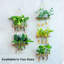 Support de plante en bois Gewel