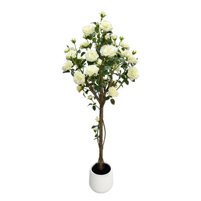 22cm Plant