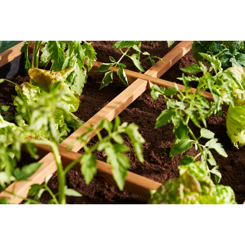 Gibraltar Wood Planter Box