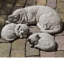 Curled Dog Statue-13914880