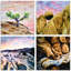 Art mural de Hillrose
