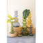 Vase en verre Ivy Bronx-106714769-106714770