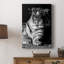 Tiger Repose - galerie Cavas sur mesure-502470998