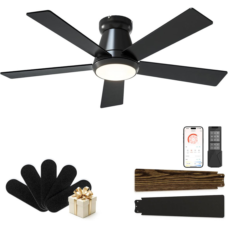 Ventilateurs de plafond avec lumières - Ventilateur de plafond à profil bas à 5 pales de 42 po avec lumière, Noir
