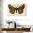 Brampt Natures Butterfly V-107852152