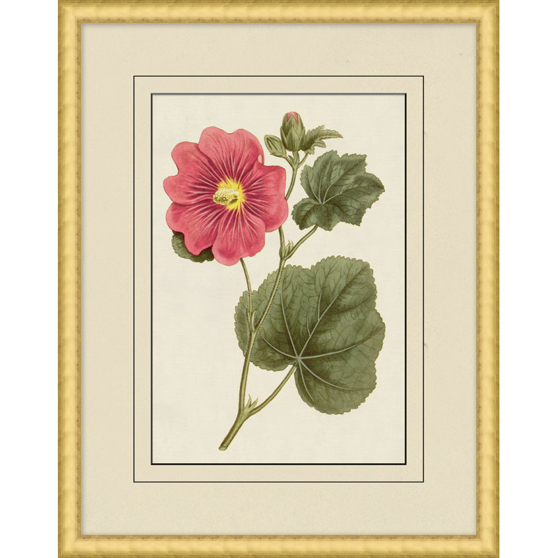 Fresh Flowers 8 Print