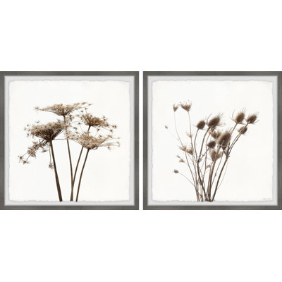 " Dried Out Dandelion " 2 - Pieces