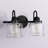 Juliann 15 in. 2-Light Modern Dimmable Vanity Light with Clear Glass Shade-222325203