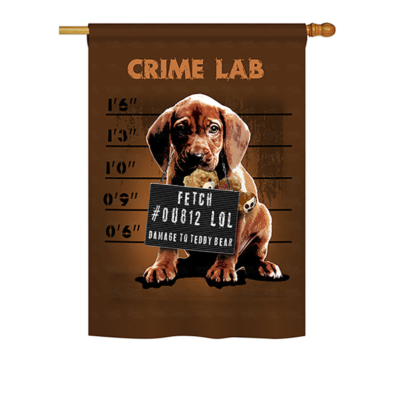 Drapeau de maison Harway Crime Lab, H 40 po x l 28 po