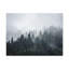 No Frame Print on Canvas-441363589