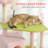 Large Cat Tower with Scratching Post & Board 74" Flower Cat Tree