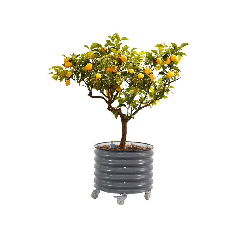 22" Tall 24" Wide Round Metal Outdoor Rolling Tree Planter, Modern Gray, 1