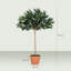 90cm Faux Olive Tree in Pot