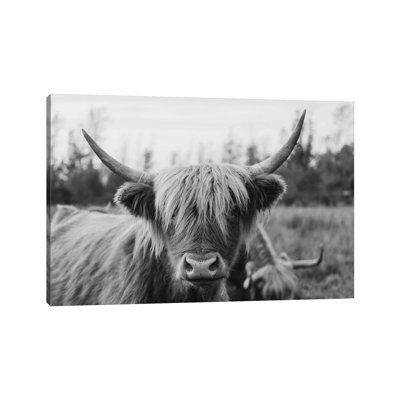 Highland Cow Black And White by Chelsea Victoria - Wrapped Canvas Print