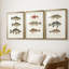 Espèces de poissons antiques I - Impression personnalisée de qualité supérieure avec cadre mat - 3 pièces-603805636-603805637
