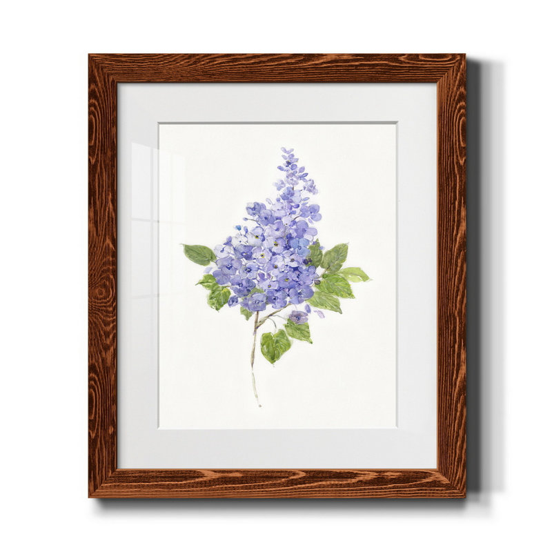 Lilas botanique délicat - impression, H 24 po x l 18 po x P 1,5 po, Érable