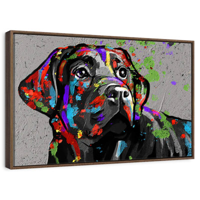 Labrador