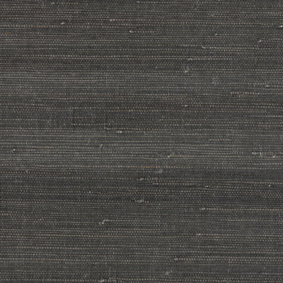 Natural Textures Grass Cloth Matte Wallpaper Roll
