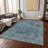 Machine Washable Indoor/Outdoor Xhevrie Blue Rug-784008437
