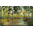 " Path In The Forest "-1634438804-1634438795