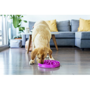 Outward Hound Dog Wobble Bowl