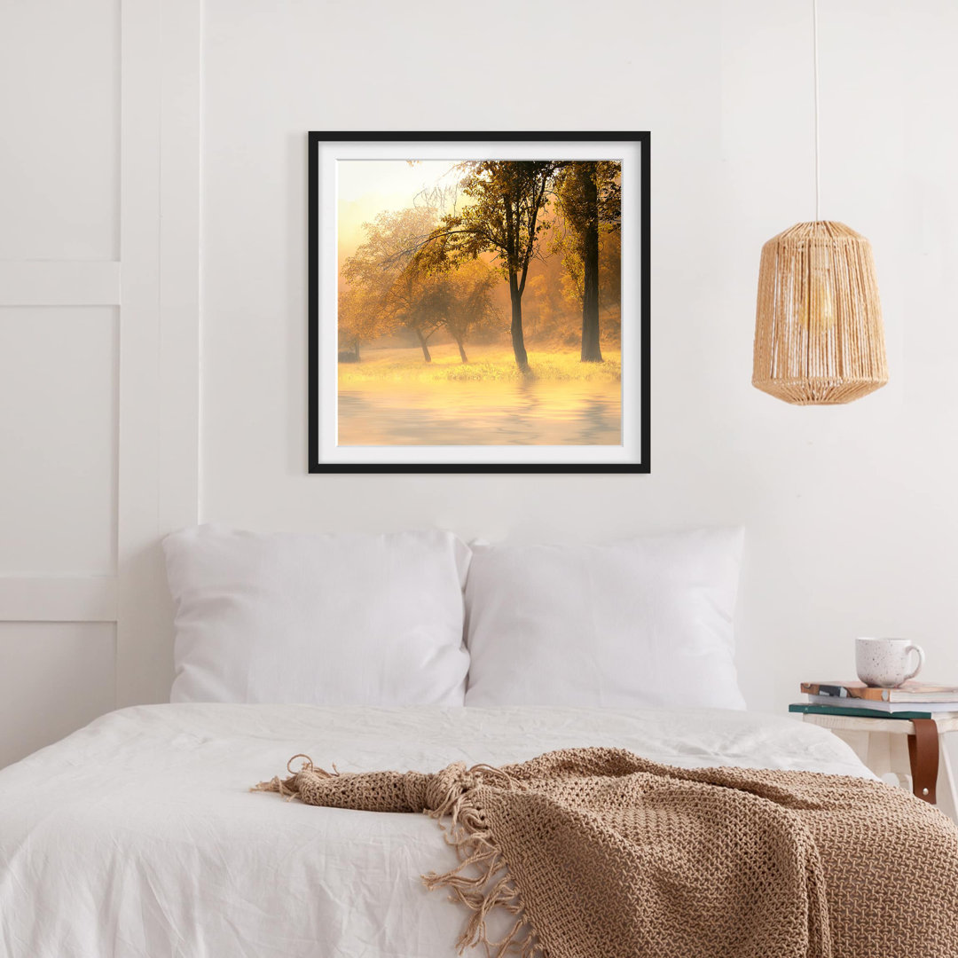 Gerahmtes Poster Autumn Morning