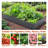 Galvanized Raised Garden Beds for Outdoor Gardening, Large Metal Planter Box with Ample Space and Weather-Resistant Design