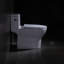 Toilette allongée une pièce 1,3 GPF