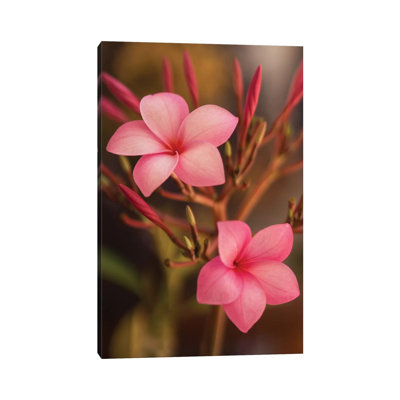 Pink Flowers 1 Piece Wrapped Canvas Wall Art