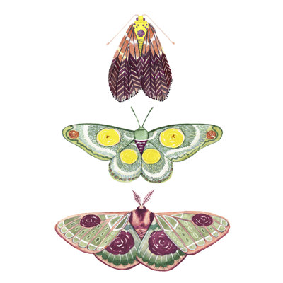 Moth Fairies I