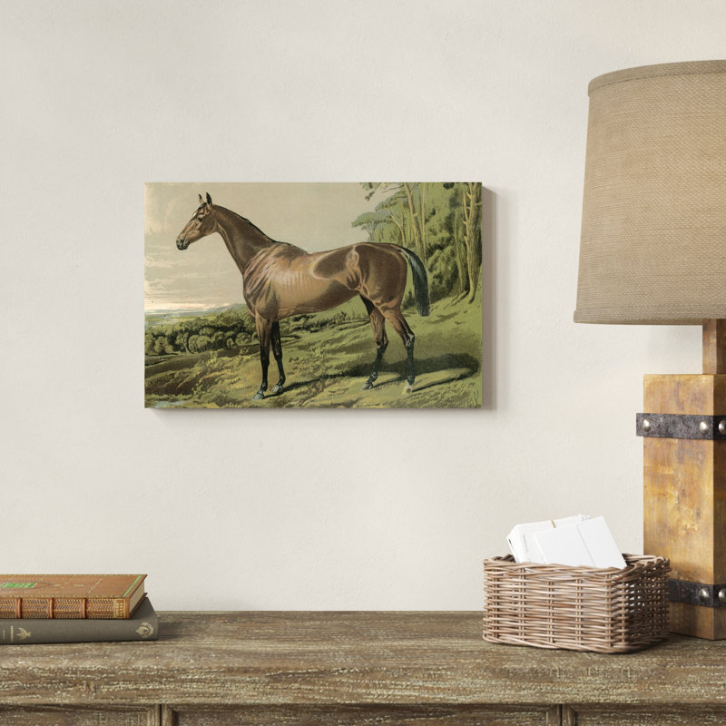 «Cassells Horse IV», reproduction d'art sur toile, H 12 po x l 18 po