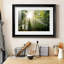 Light and Trees II - Photographie avec cadre-520607933-520607934