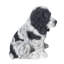 Statue Cocker Spaniel-44475142