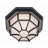 Basham 1 - Bulb Outdoor Flush Mount-1013682139-1013682131