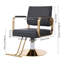 Fauteuils Stylist For Salon - Fauteuil de coiffeur rotatif à 360 ° pour salons de coiffure-1661673953-1661673952