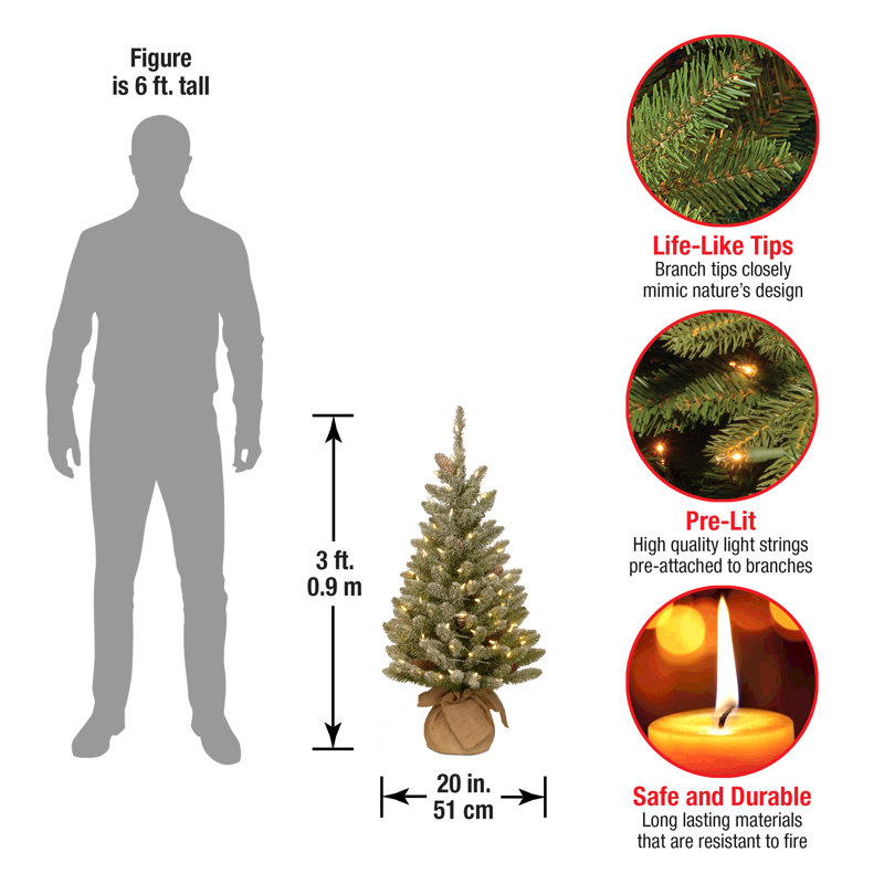The Holiday Aisle® Snowy Concolor Fir Tree with LED Lights, 3'